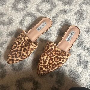 Women’s Steve Madden